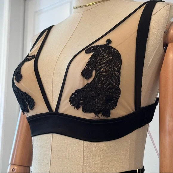 Empress Mimi Arigato Tiger Bra and Panty Lingerie Set - Picture 5 of 14